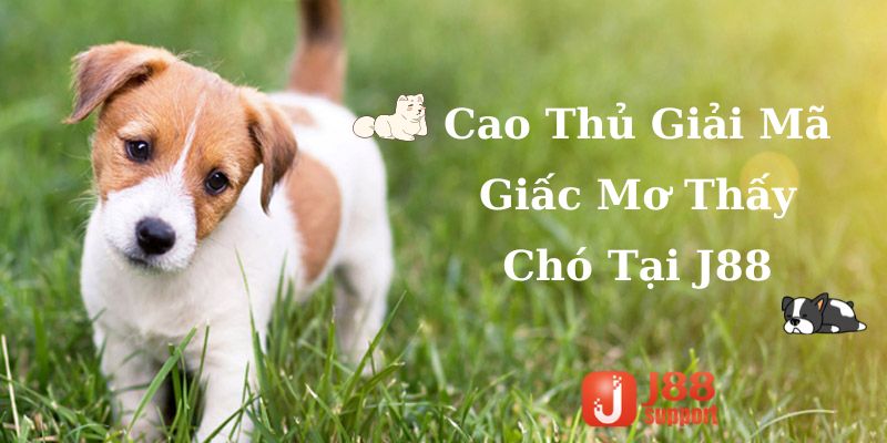 Cao Thủ Giải Mã Giấc Mơ Thấy Chó Tại J88