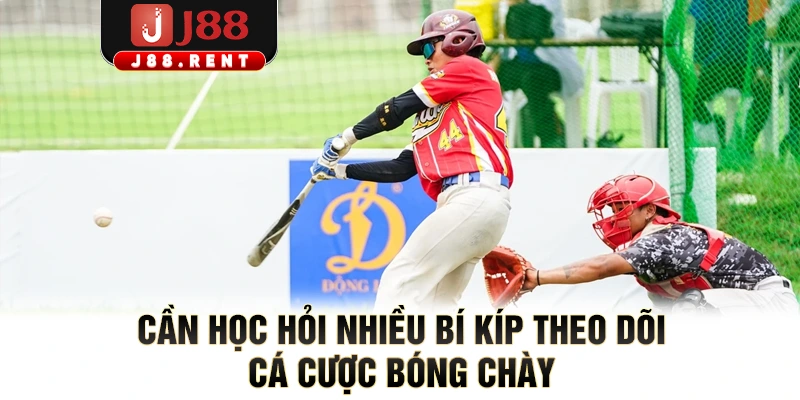 Cần học hỏi nhiều bí kíp theo dõi cá cược bóng chày