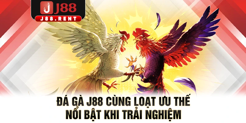 Đá gà J88 cùng loạt ưu thế nổi bật khi trải nghiệm
